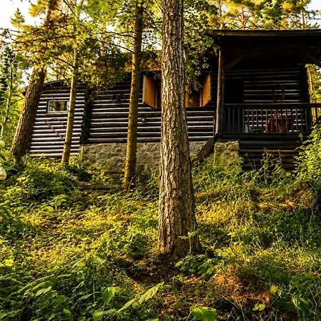 Prázdninový dům A Stylish Log In The Heart Of The Brdy Forests