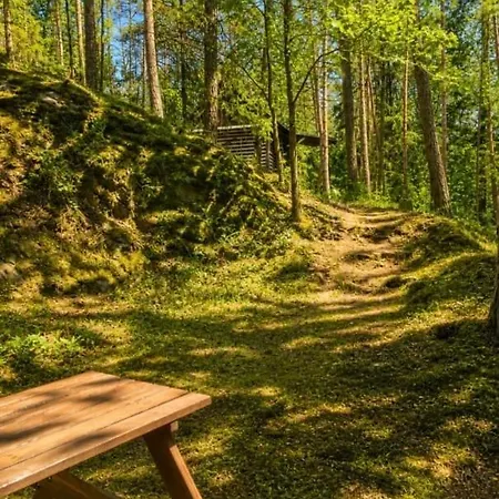 A Stylish Log In The Heart Of The Brdy Forests *