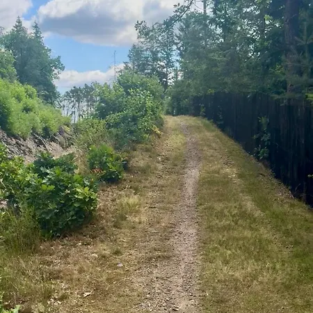 A Stylish Log In The Heart Of The Brdy Forests